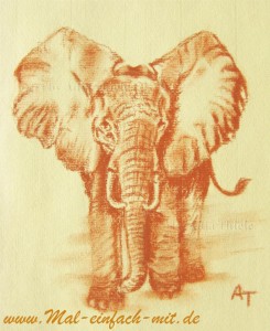 Elefant Rötel Zeichnung Kreide